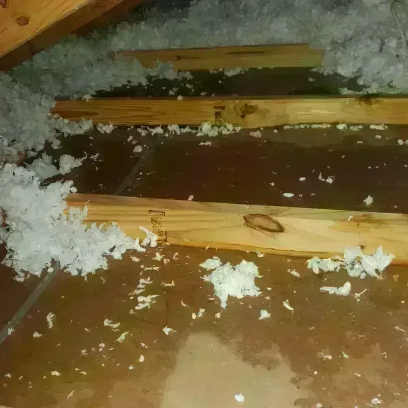 Attic Water Damage in Jefferson, TX