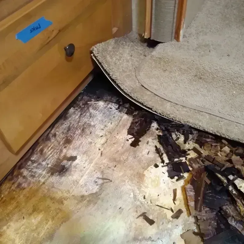 Wood Floor Water Damage in Jefferson, TX